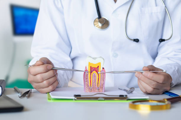 Best Emergency Root Canal Therapy in White Plains, NC